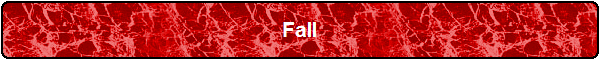 Fall