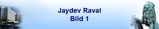 Jaydev Raval
Bild 1